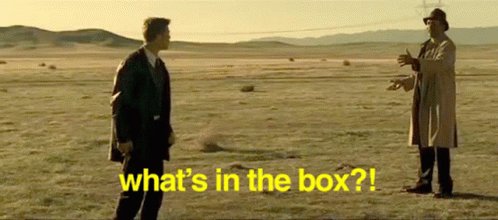 Surprise Whats In The Box GIF
