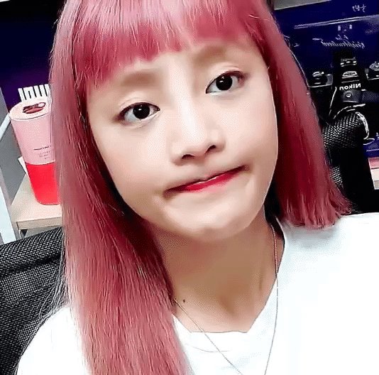 트위터, twitter - 딸플릭스