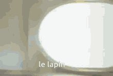 Le Lapin GIF