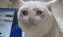#Stockmarket to all nibba & nibbi Investors/ Trader :-
Beta kayede me raho gaye to fayde me raho gaye. 😎😎
#StockMarketindia #nibba #nibbies https://t.co/4IBTengOOO
