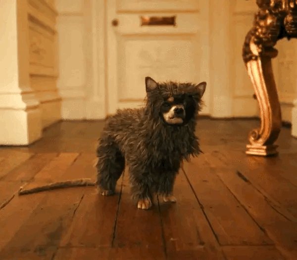 タナベ クルエラ めちゃくちゃ犬映画なのも良いので犬映画好きは観てください 画像はデカいネズミ役のウインクさんです タナベ クルエラ めちゃくちゃ犬映画なのも良いので犬映画好きは観てください 画像はデカいネズミ役のウインクさんです