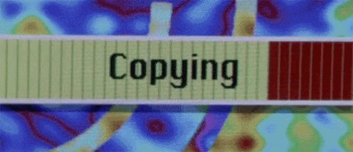Copy Cat GIF