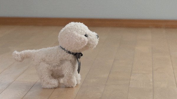 セガトイズ(SEGA TOYS) ココ さかだちして もっと! なかよし セガトイズ(SEGA TOYS) ココ さかだちして もっと! なかよし
