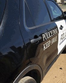 Police Dog Police Car GIF