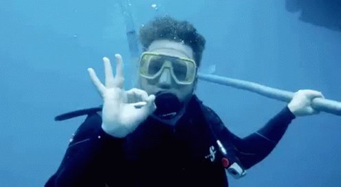 Bisbal David Bisbal GIF