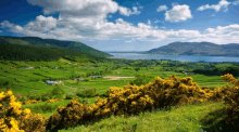 Ireland GIF