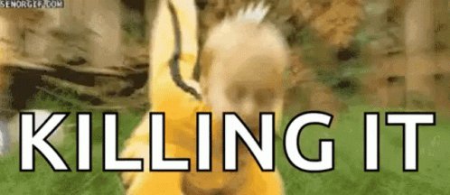 Ninja Ninjitsu GIF