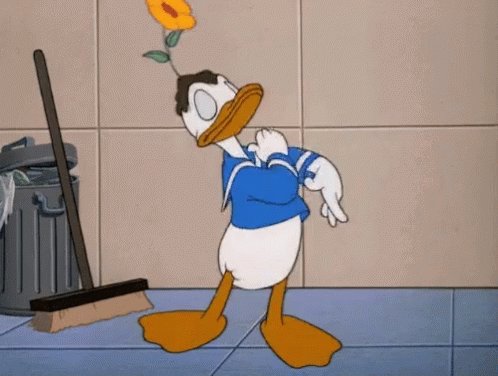 Duck Now GIF