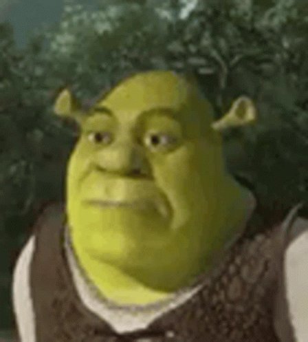 Shrek Shrek1 GIF