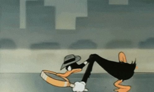 Duffy Duck Investigating GIF