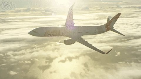 travel flying GIF by GOL Linhas Aéreas