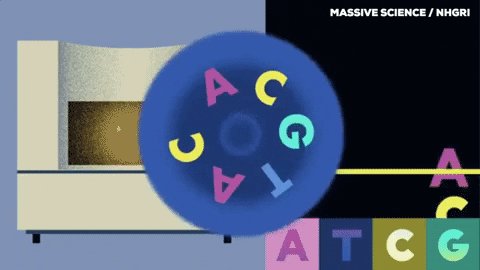 Dna Sequence GIF by Massive...