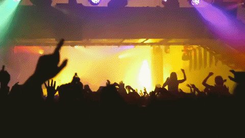 Concert Techno GIF by Under...