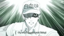 Cells At Work Hataraku Saibou GIF