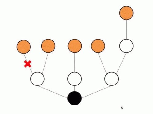 Hydra Graph GIF