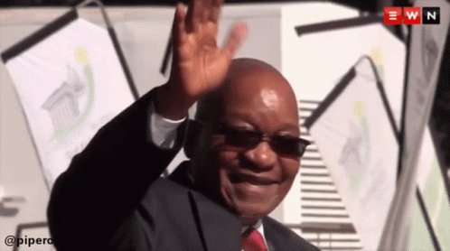 Zuma Piarliament GIF