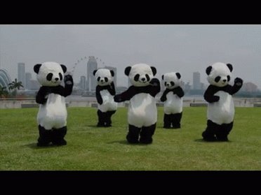 Panda Dance GIF