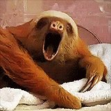 Sleep Yawn GIF