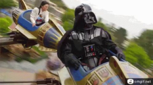 Disney Ride GIF