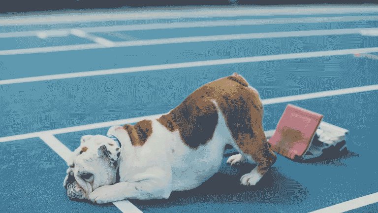 TysonBrown_'s tweet image. We had 3 Linebackers run above 22 MPH today &amp; another over 21. These Dawgs are ready to hunt! @_AllOutAaron_ @Nathaniel_ATH @Tyrus_Wheat18 @hoopah_3. Special shout out to @LideatrickG, @scoobieford3 &amp; @DecamerionR for FLYING just under 23 MPH. Dawgs were RUNNING. #HailState https://t.co/ozMBh5j0Vw