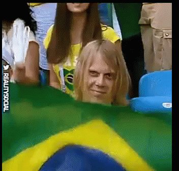 Brasil Meme GIF