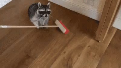 Broom GIF