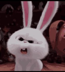 Cartoon bunny looking confused