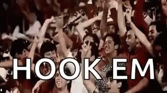 Hook Em Longhorns GIF