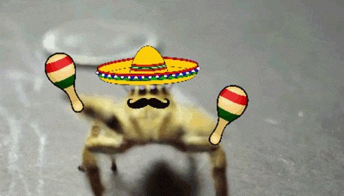 Cha Cha Dance GIF