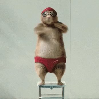 Swim Rat GIF