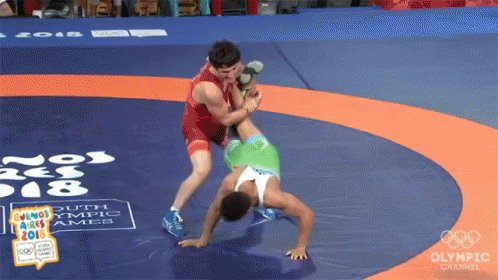 Wrestling Tackle GIF