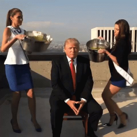 Golden Shower Trump GIF