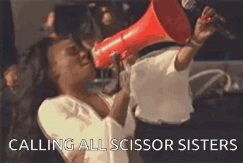 Joov Scissor Sisters GIF