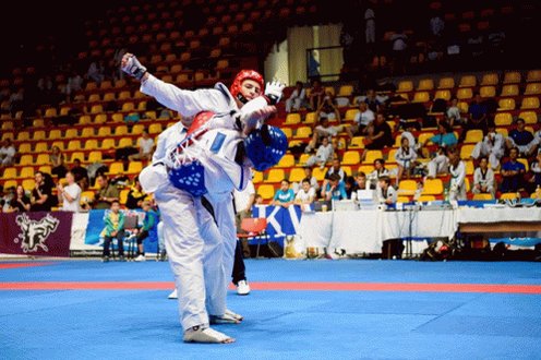 Merabshukakidze Taekwondo GIF