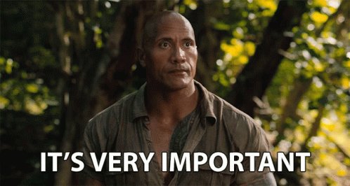 The Rock falando "é muito importante!" no meio da