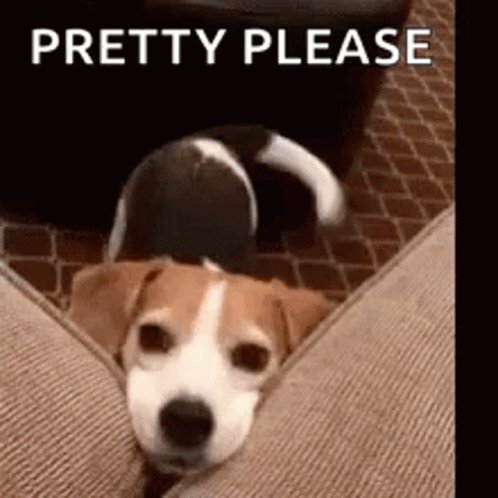 Happy Pretty Please GIF