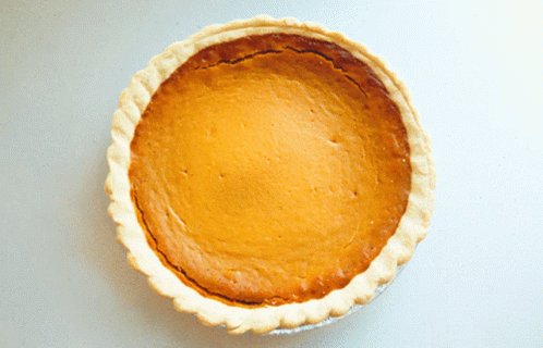 Pumpkin Pie Pie Day GIF