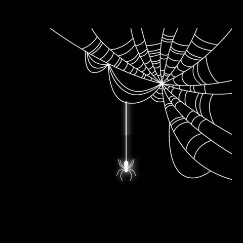 Spider Web Halloween GIF by...