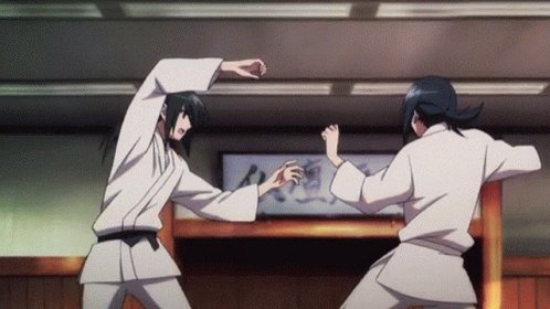 Anime Judo GIF