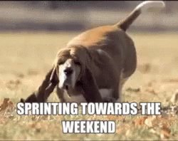Sprinting Weekend GIF