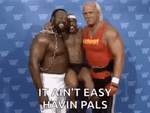 Wwf Hulk Hogan GIF