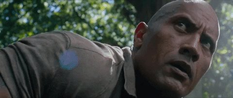The Rock Eyebrow Raise 🤨