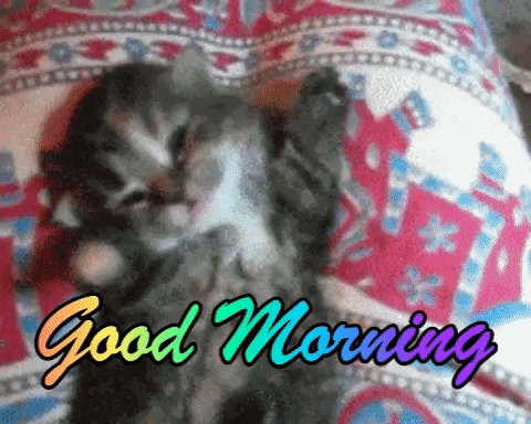 Good moaning! Wish you a wonderful and hot day as mine 🔥 #goodmorning #Caturday https://t.co/gFlPhwi<a href="/tag/goodmorning"class="tags"><span>#goodmorning</span></a><a href="/tag/caturday"class="tags"><span>#caturday</span></a>