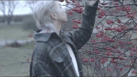 Ymakams Ptagustd