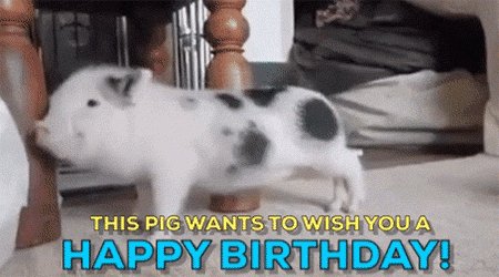   Awe!!!! Happy Birthday, Max!!!!! 