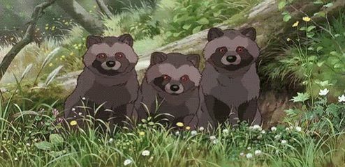 Pom Poko Cute GIF