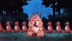 Pom Poko Wednesday GIF