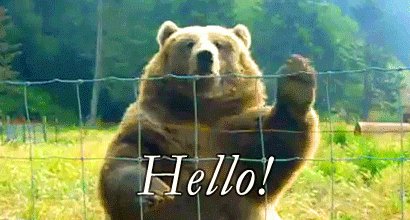 gif of a bear waving. Caption says "Hello!"