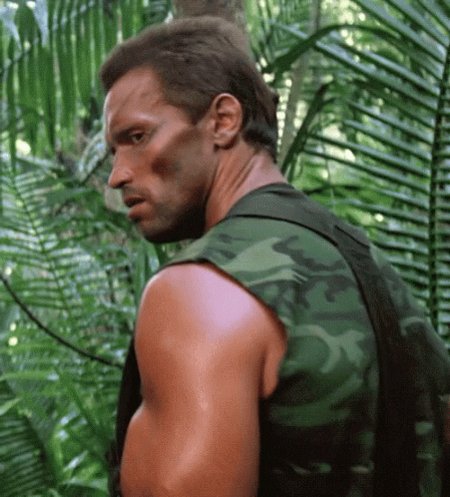 Happy Birthday  Arnold Schwarzenegger 
