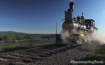 Choo Choo Train GIF by Reco...